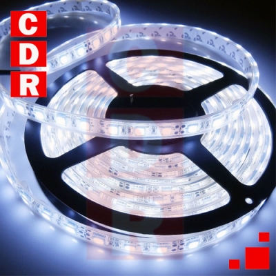 TIRA DE 60 LEDS BLANCO FRIO 3528 4.8W 12V INTERIOR X ROLLO 5 MTS